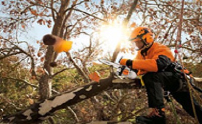 Stihl motorové pily